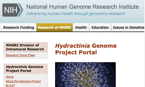 Genome Portal Screenshot